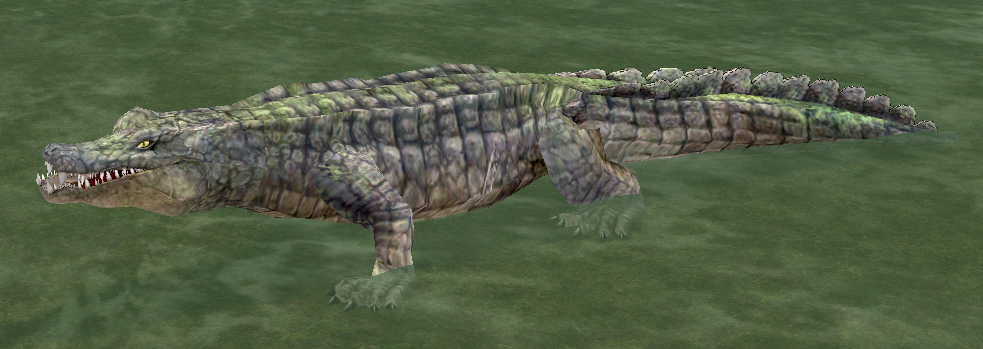 Giant Alligator