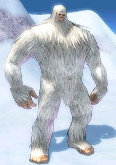 Yeti